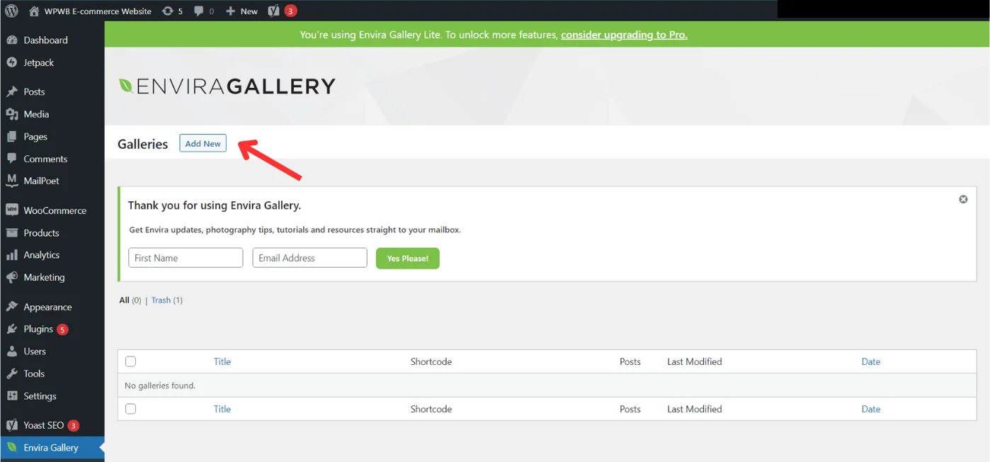 Image: Adding a new Gallery in the Envira Plugin